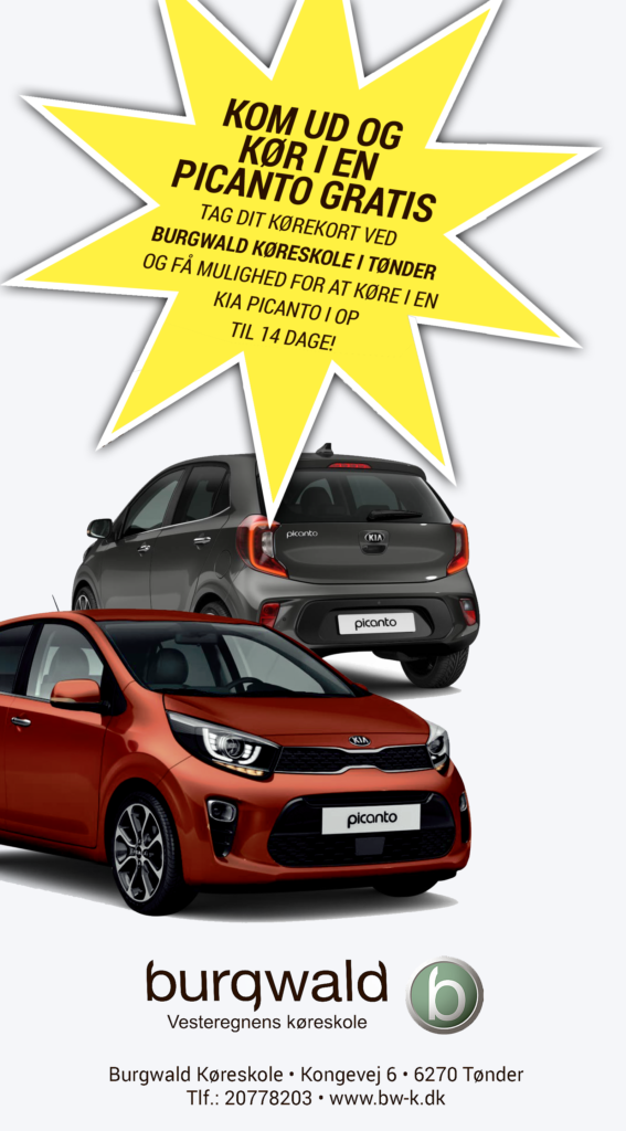 BW-Picanto picanto